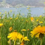 Apartment Swiss Thunersee Spiez