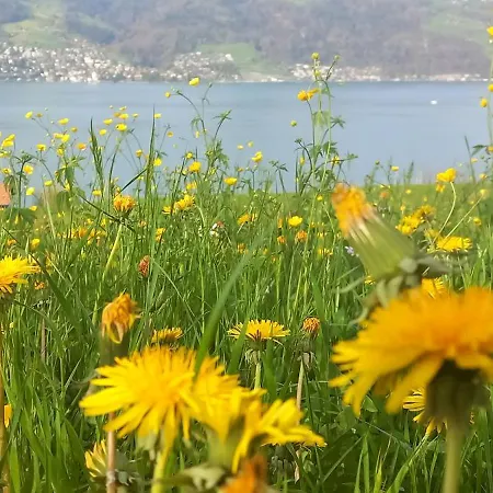 Lägenhet Swiss Thunersee Spiez