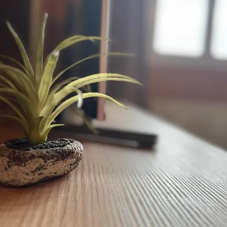 Swiss Thunersee Spiez