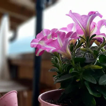 Swiss Thunersee Spiez