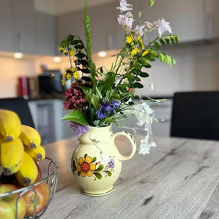 Swiss Thunersee Apartmán *