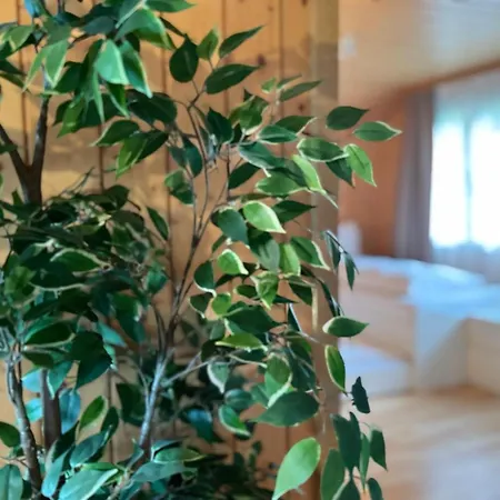 Apartmán Swiss Thunersee Spiez