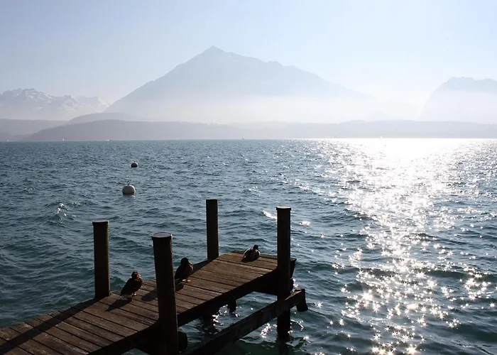 Swiss Thunersee شقة