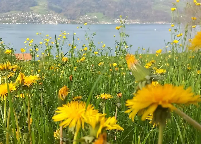 شقة Swiss Thunersee سبيز