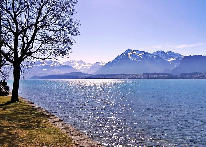 Swiss Thunersee * سبيز