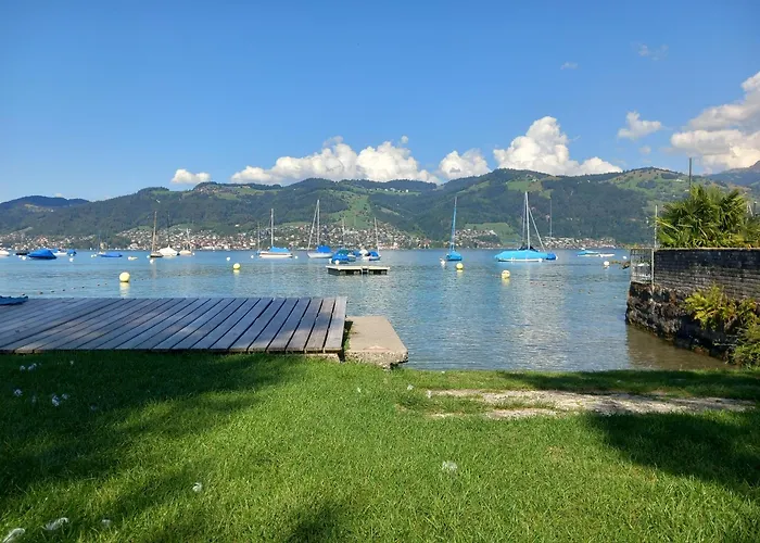 Swiss Thunersee شقة سبيز