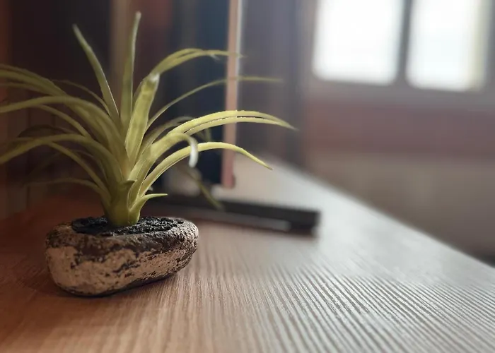 Swiss Thunersee سبيز