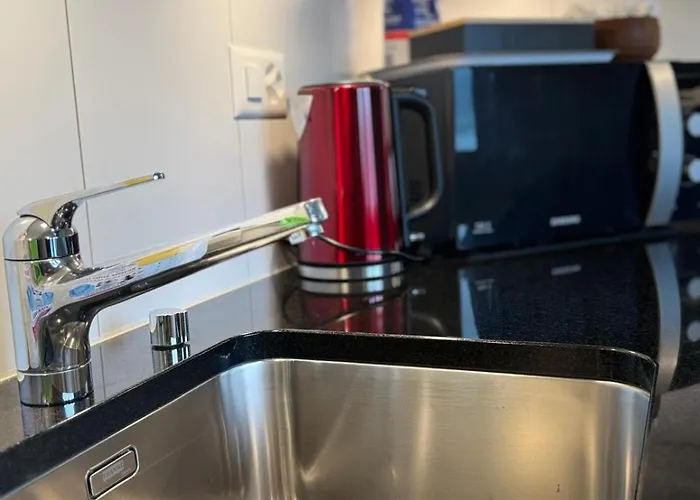 Swiss Thunersee شقة