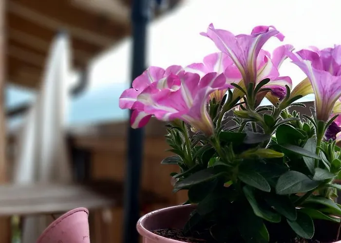 Swiss Thunersee سبيز