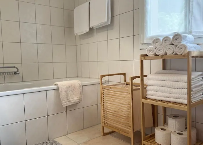 Swiss Thunersee شقة