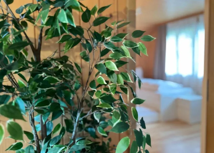 דירה Swiss Thunersee שפיץ